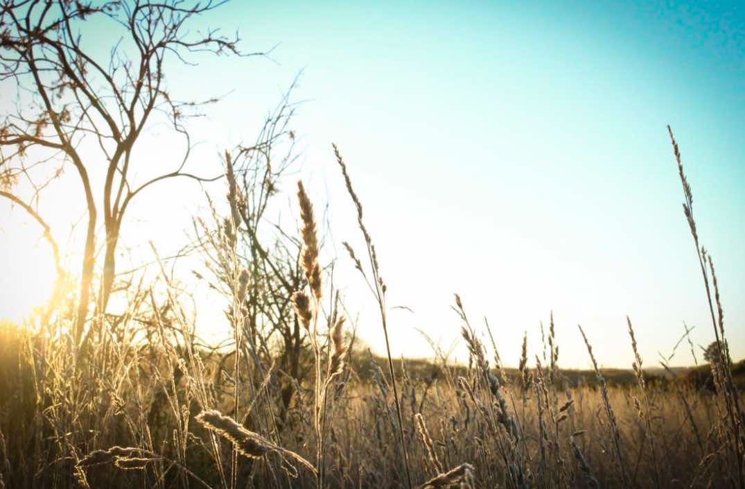 How to Have a High Energy Morning