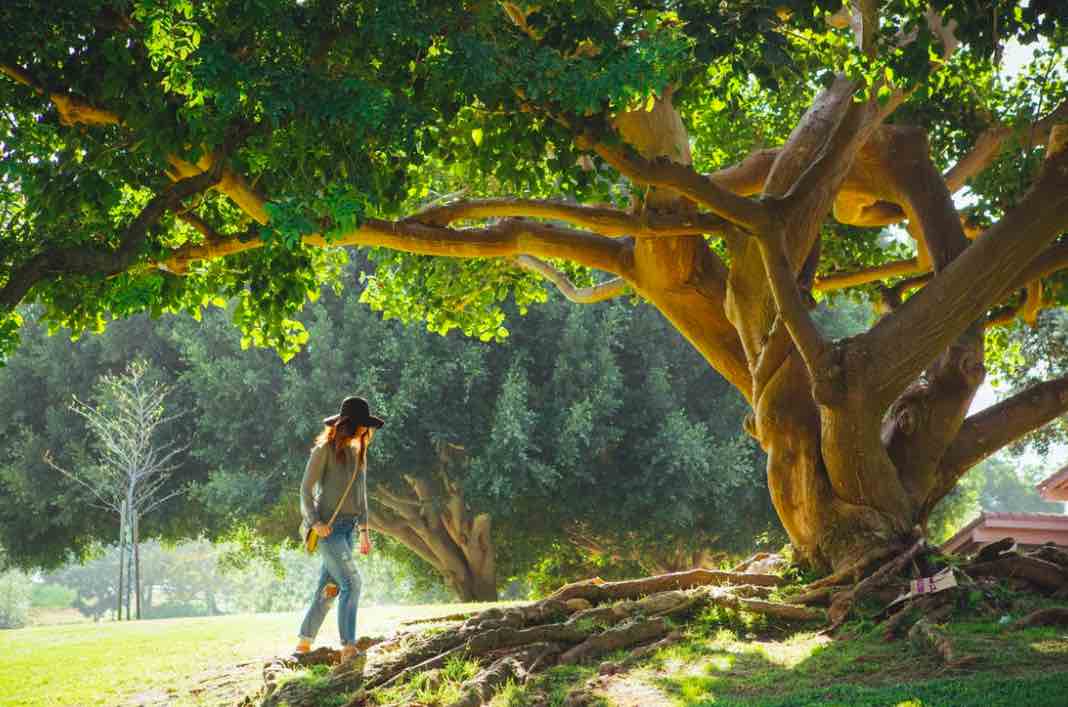 How to Get Fit on a Budget