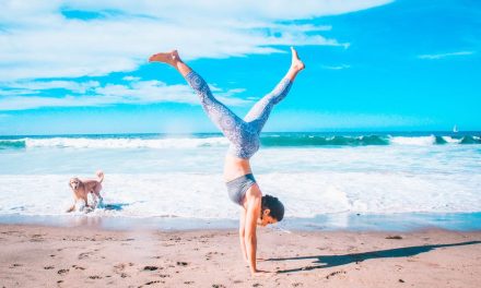 Best Balance Boards for Beginners